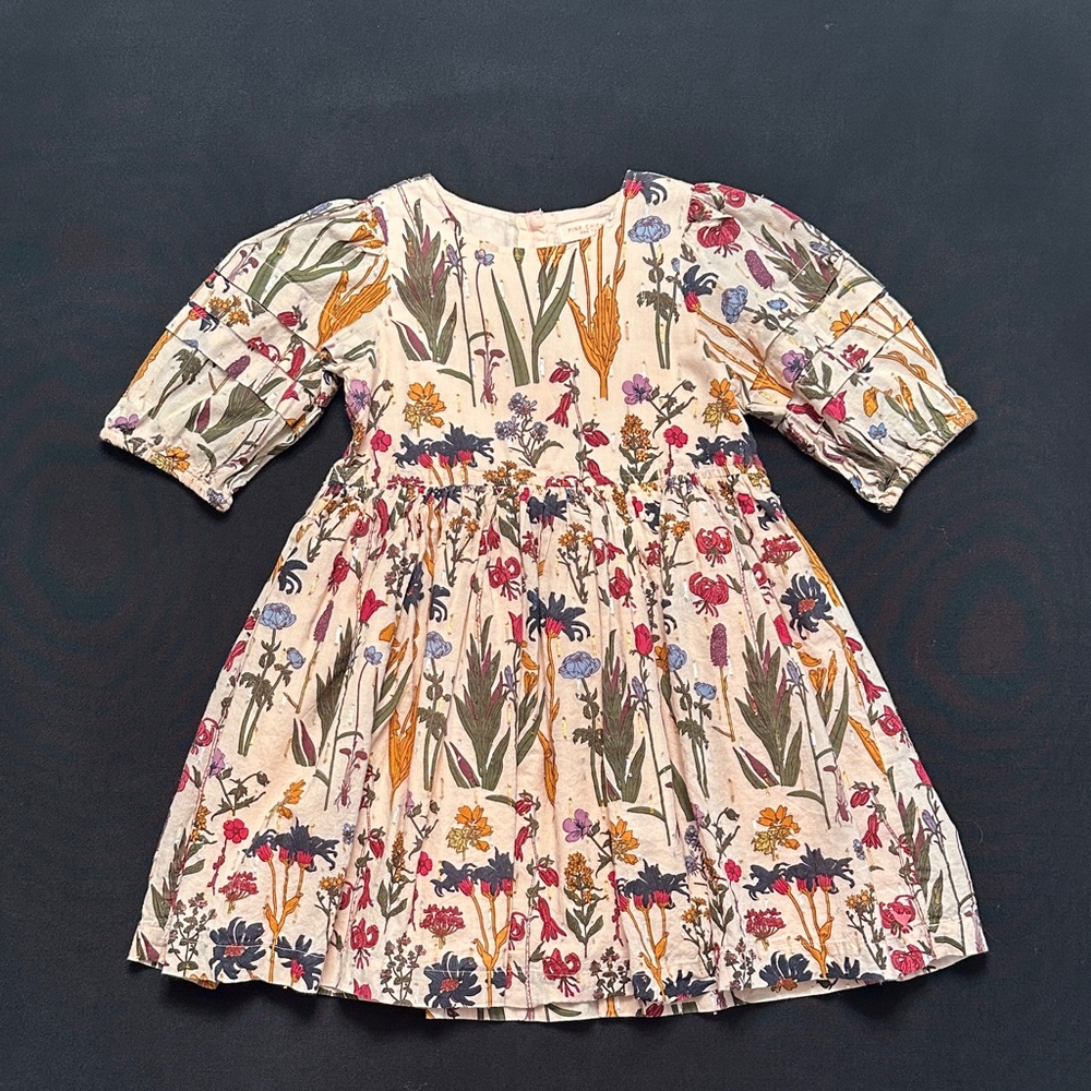 Pink Chicken Blush Pink Dress with Multicolor Floral Print size 6